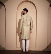 Load image into Gallery viewer, Dilkash Sequin Embroidered Kurta