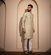 Load image into Gallery viewer, Dilkash Sequin Embroidered Kurta