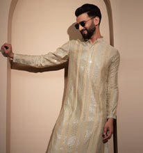 Load image into Gallery viewer, Dilkash Sequin Embroidered Kurta