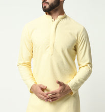 Load image into Gallery viewer, Zainab Embroidered Sequin Kurta