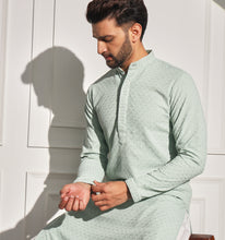 Load image into Gallery viewer, Pista Embroidered Sequin Kurta