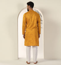 Load image into Gallery viewer, Ashar Embroidered Sequin Kurta