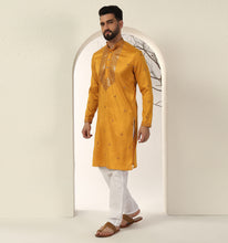 Load image into Gallery viewer, Ashar Embroidered Sequin Kurta