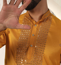Load image into Gallery viewer, Ashar Embroidered Sequin Kurta