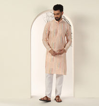 Load image into Gallery viewer, Ashra Embroidered Sequin Kurta