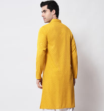 Load image into Gallery viewer, Zard Embroidered Sequin Kurta