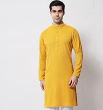 Load image into Gallery viewer, Zard Embroidered Sequin Kurta