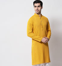 Load image into Gallery viewer, Zard Embroidered Sequin Kurta